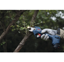 Sécateur sans fil coupant une branche dans le jardin