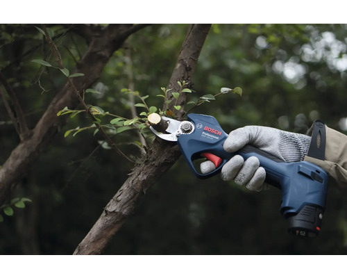 Sécateur sans fil coupant une branche dans le jardin