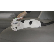 Katze wird mit Massagegerät massiert