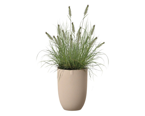 Herbe dans un pot à fleurs rainuré