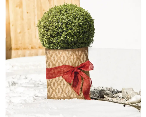 Buis artificiel en pot décoratif avec ruban