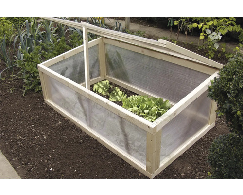 Châssis de culture en bois et plastique dans un parterre de jardin avec des salades