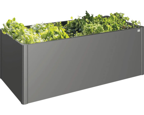 Jardinière grise avec différentes plantes