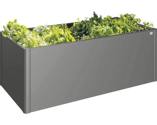 Jardinière surélevée en métal avec salade et herbes