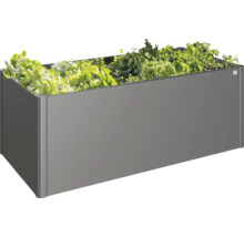 Jardinière surélevée avec salade et herbes aromatiques