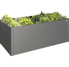 Jardinière grise avec des plants de salade.