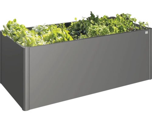 Jardinière grise plantée de salade.