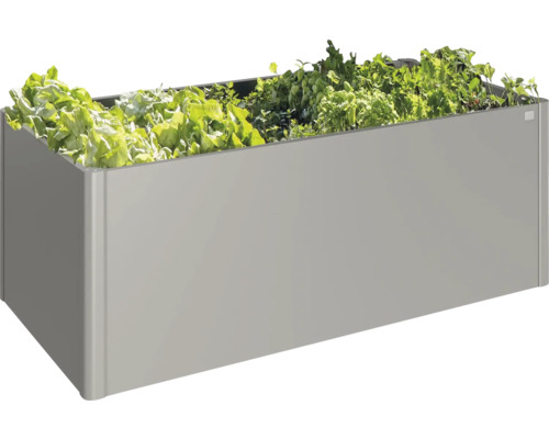 Jardinière surélevée avec salade et herbes aromatiques