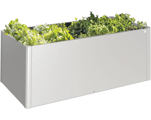 Jardinière surélevée en métal avec plantation de salade