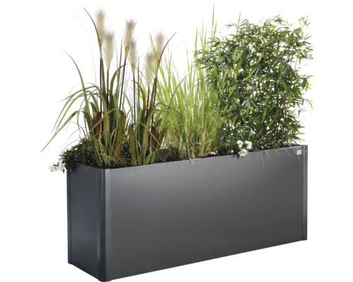 Jardinière rectangulaire avec graminées et plantes vertes