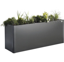 Jardinière rectangulaire en métal avec plantations