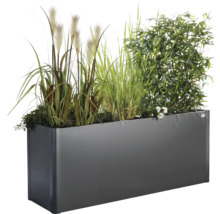 Jardinière rectangulaire avec plantation
