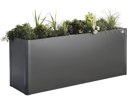 Jardinière rectangulaire en métal avec plantes