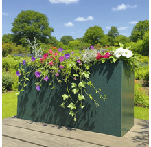 Blumenkasten mit bunten Blumen auf einer Holzoberfläche