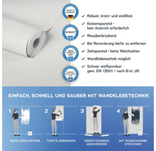 Rolle einer robusten, kratz- und stoßfesten Vliestapete mit Wandklebetechnik und Anwendungsbeispielen