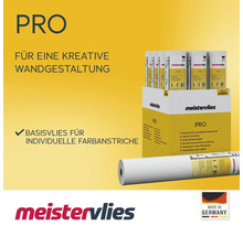Meistervlies Pro-Tapetenrolle für kreative Wandgestaltung und individuelle Farbanstriche