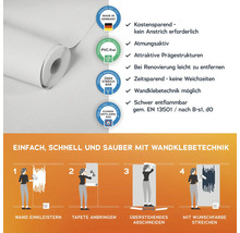 Rolle einer weissen, überstreichbaren Vliestapete mit Hinweisen zu Produkteigenschaften und Verarbeitung.