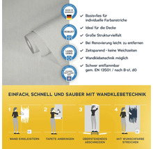 Rolle Vliestapete mit Produkteigenschaften und Anbringungshinweisen