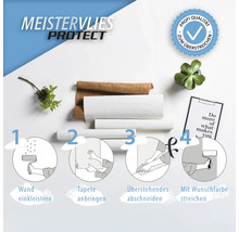 Meistervlies Protect Vliestapete mit Anleitungsbildern