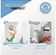 Meistervlies Protect mit Produktvorteilen dargestellt: restlos trocken abziehbar, geeignet zum Überstreichen, nicht geeignet für andere Tapeten