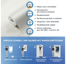 Rolle überstreichbare Vliestapete mit Hinweisen zu Eigenschaften und Verarbeitung