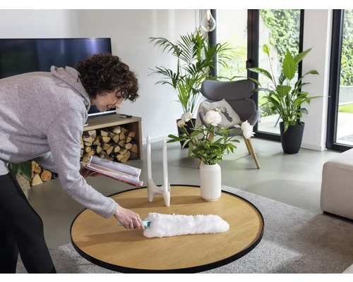 Une femme dépoussière une table de salon avec un plumeau. Des plantes et un fauteuil sont visibles à l''arrière-plan.