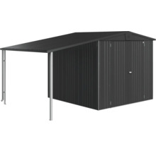 Abri de jardin en métal avec extension