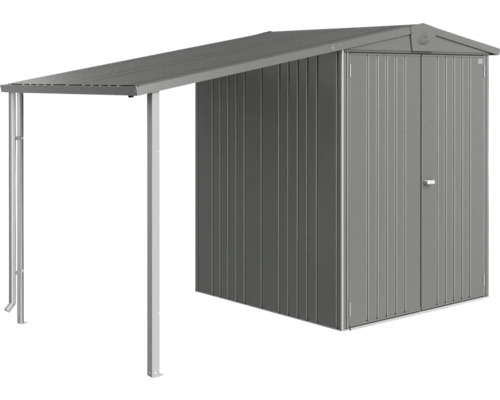 Abri de jardin métallique avec auvent pour le jardin