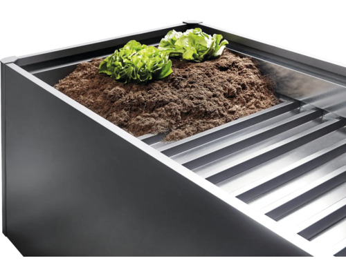 Hochbeet mit Erde und Salatpflanzen