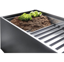 Jardinière surélevée avec terre et plants de salade
