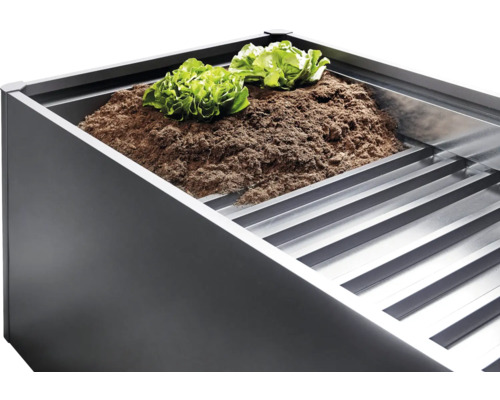 Hochbeet mit Erde und Salatpflanzen