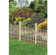 Scène de jardin avec clôture en bois et plantes fleuries