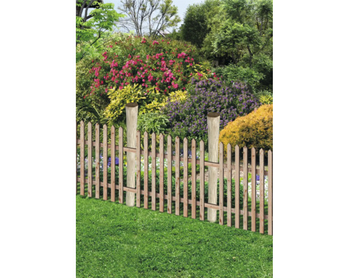 Scène de jardin avec clôture en bois et plantes fleuries