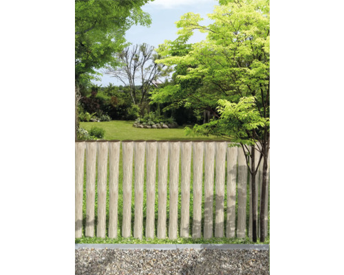 Scène de jardin avec clôture en bois et allée de gravier