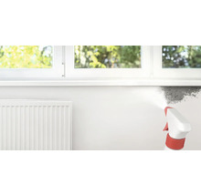 Un vaporisateur est utilisé pour enlever la moisissure sur le mur.