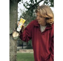 Une femme applique un produit cicatrisant sur un arbre