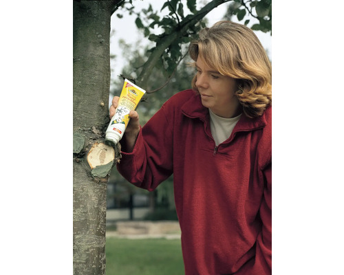 Une femme applique un produit cicatrisant sur un arbre