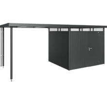 Abri de jardin en métal avec extension