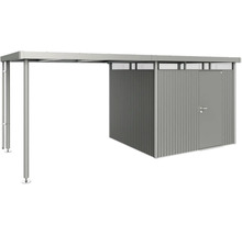 Abri de jardin avec auvent et porte