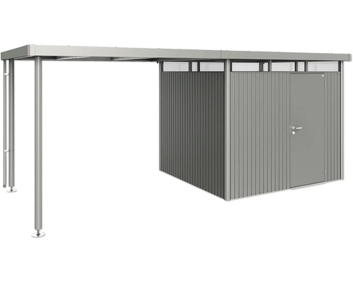 Abri de jardin avec auvent et porte