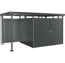 Abri de jardin avec toit et porte