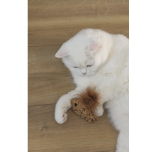 Un chat blanc est allongé avec un jouet sur un plancher en bois.