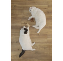 Deux chats jouent avec des jouets sur un plancher en bois