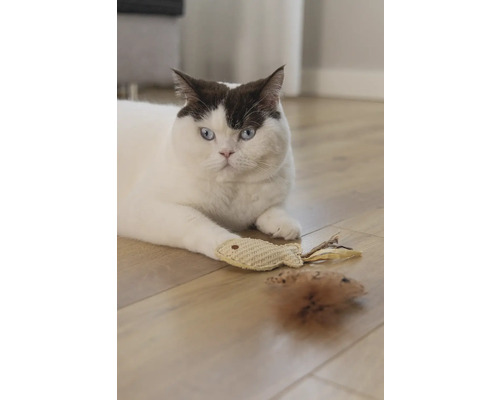 Un chat est allongé avec une souris jouet et un poisson jouet sur un plancher en bois.