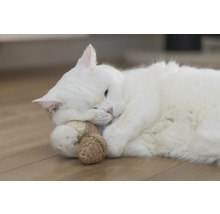 Chat blanc allongé sur le sol avec un jouet