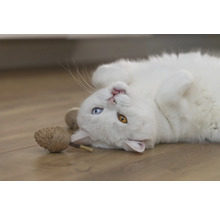 Chat blanc couché sur le dos avec un jouet pour chat