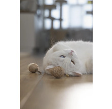 Un chat blanc avec des yeux vairons et des jouets pour chats sur un plancher en bois
