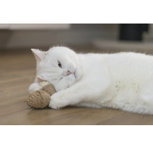 Un chat blanc est allongé sur le sol et joue avec un jouet pour chat.