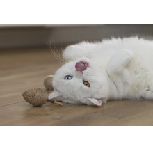 Un chat blanc est allongé sur le dos et tire la langue, avec un jouet à côté.