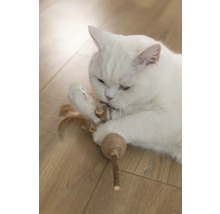 Chat blanc jouant avec un jouet pour chat sur un plancher en bois